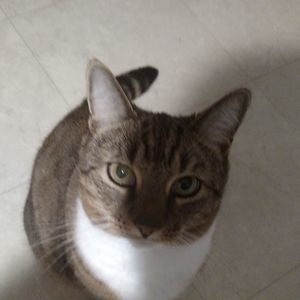 Meet your Posher, Barbara